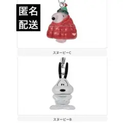 【新品未開封】PEANUTS めじるしアクセサリー FUNNY ver. B C