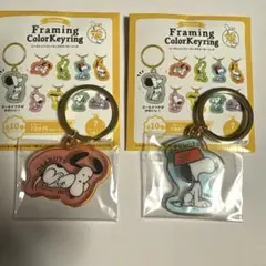 PEANUTS シークレットフレーミングカラーキーリング 2種セット