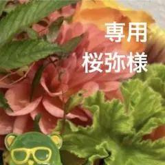 桜弥様 リクエスト 8点 まとめ商品