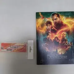 映画映画『ファンタスティック・ビーストとダンブルドアの秘密
