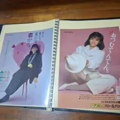 ▲限定1名様▲貴重▲松本伊代▲切り抜きクリアブック2冊 △限定1名様△貴重△松本伊代△切り抜きクリアブック2冊