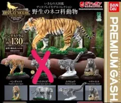 【オンライン版】いきもの大図鑑 野生のネコ科動物 3点セット
