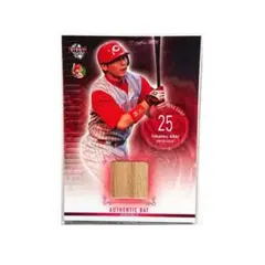 Mizuno Pro NPB バット　新井貴浩　直筆サイン付き　硬式バット Mizuno Pro NPB バット 新井貴浩 直筆サイン付き 硬式バット