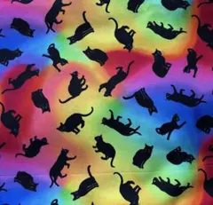 レインボー 黒猫 USAプリント生地