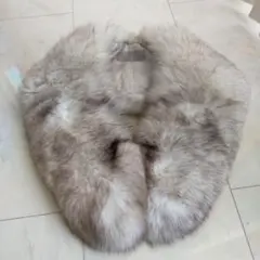 Item thumbnail for item 92bb04f3-bd8d-4663-903a-020d8af9f81a