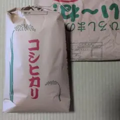 【島根県産】コシヒカリ島根米 白米 産地直送　15kg 島根県産】コシヒカリ島根米 白米 産地直送 15kg - メルカリ