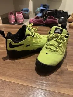 Supreme Nike SB Darwin Low デザートカモ 30cm - メルカリ