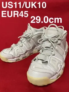 Nike Air More Uptempo Light Bone 29.0cmのサムネイル