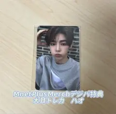 zb1 MnetPlusMerch 犬耳トレカ　ハオ