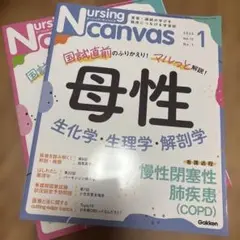 Nursing canvas 2024年1号・2号セット