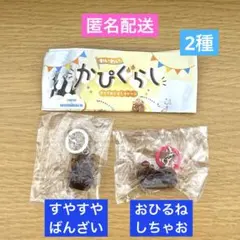 ☆匿名配送☆ 2種 わいわい かぴぐらし クリアめじるしチャーム