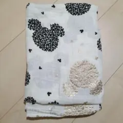 エイデンアンドアネイ　ディズニー　おくるみ