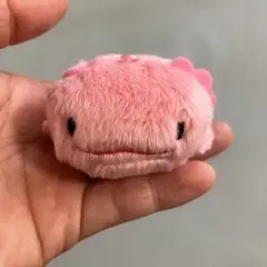 みずべのいきもの ゆるふわぬいぐるみ ガチャ ウーパールーパー