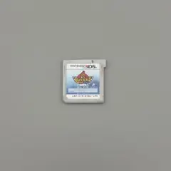 【動作確認済】妖怪ウォッチバスターズ 白犬隊　3ds