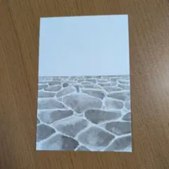 盾突く 切り男さま確認用