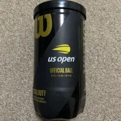 Wilson US Open テニスボール 2個入り 硬式