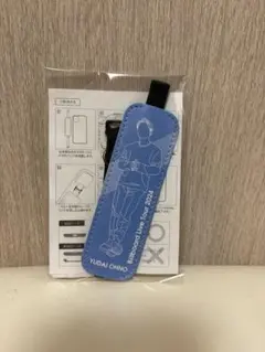 Item thumbnail for item d3a80462-127d-4270-9d1c-06310fdba618