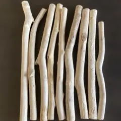 流木 ランダムセット 自然素材 白