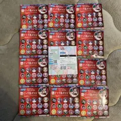 セガ ラッキーくじ ダンダダン Ｅ賞 ビッグ缶バッジ 13個セット