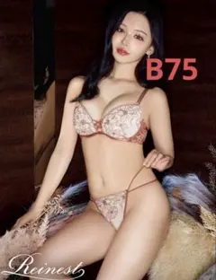 Reinest クラシカルヌーディフルールブラジャー&バック透けTバックショーツ