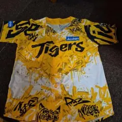 Item thumbnail for item af63698e-b5be-482d-8c2d-89028a5b10f8