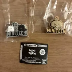 h*＊様 MINITEEN ぷっくりめじるしアクセサリー