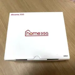 docomo home 5G HR01 本体