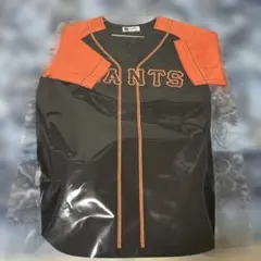 Item thumbnail for item 4bb469d8-9bae-4477-9ab1-3469511a28b6