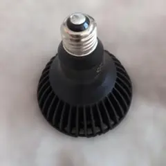 京セラ CERAPHIC いきもの電球 5000K(昼白色) 広角