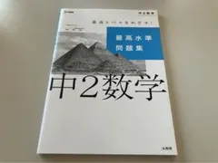 最高水準問題集 中2数学