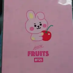 【値下げしました】BT21 TSUTAYA限定　クリアファイル　COOKY
