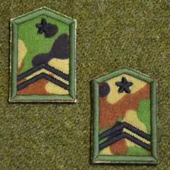 Item thumbnail for item 471e5593-d460-409e-bbfb-cb5f4a6365e9