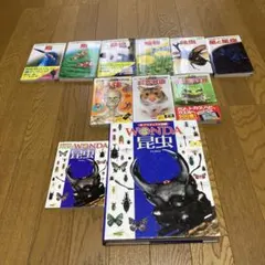 折紙探偵団マガジン 98号～106号 日本折紙学会 9冊セット - メルカリ