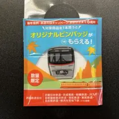 鉄道の日　鉄道車両　オリジナルピンバッジ 首都圏新都市鉄道「TX3000系」