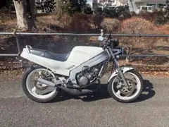 2026年最新】tzr125 タンクの人気アイテム - メルカリ