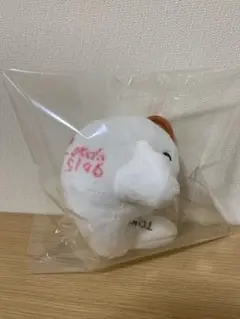 5118 野田なづき 選手 ボートレース ボートレーサー 直筆 サイン t