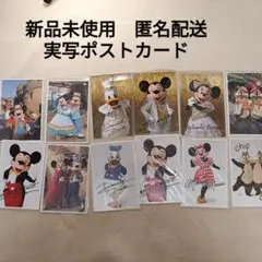 ディズニーポストカード　実写ポストカード　ディズニー　ミッキー　等