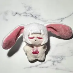 5cm 自作ぬいぐるみ　無属性ぬいぐるみ　うさぎ　海星体　ハンドメイド