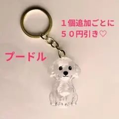 mia-様 リクエスト 2点 まとめ商品 トイプードル２個