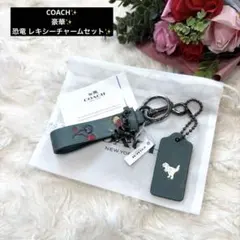 【未使用品】最終価格COACH ブローチ　レキシー 2026年最新】coach レキシーの人気アイテム - メルカリ