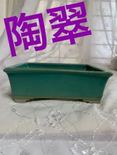 2025年最新】陶翠 盆栽鉢の人気アイテム - メルカリ