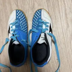 ミズノのフットサル・サッカーシューズ 青/白 US 3.5