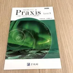 Praxis Level 4 英語長文読解 プラクシス 学校専用 - メルカリ