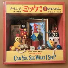 CAN YOU SEE WHAT I SEE? チャレンジミッケ！