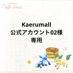 Kaerumall公式アカウント02様専用ページ
