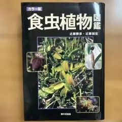 おきなわの薬草百科 多和田真淳 大田文子 那覇出版社 沖縄 絶版 希少本