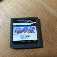 海辺でリーチds