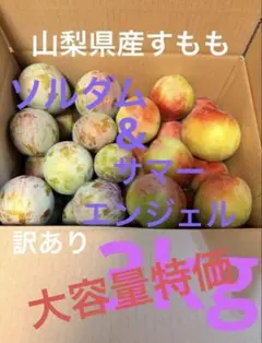 山梨県産 すもも ソルダム＆サマーエンジェル 3kg 箱いっぱいのサムネイル