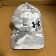 Item thumbnail for item 5f5c0971-09f8-40bc-a7c7-6a278a6c76ac