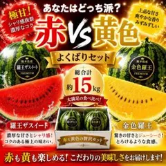 お得な2玉！熊本県産 羅皇ザ・スウィート 大玉10kg以上 - メルカリ
